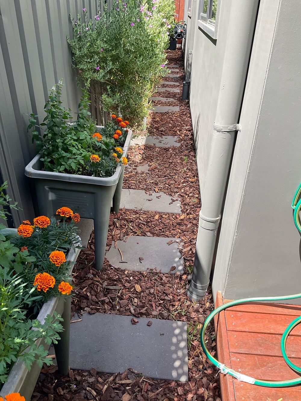 Building and Pest Inspections in Fraser Rise